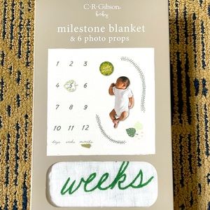 New milestone baby blanket.